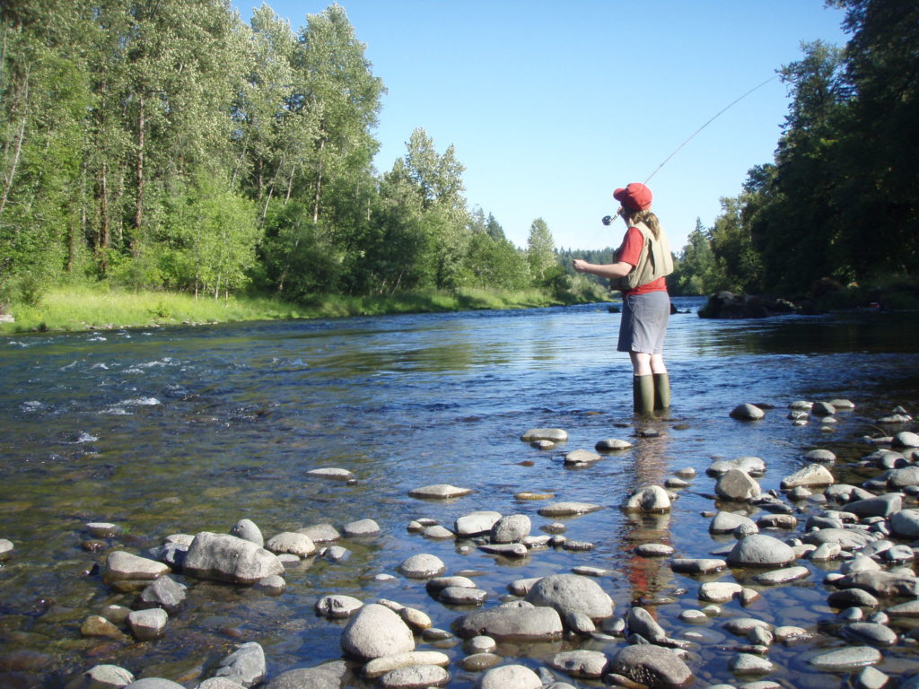 A Beginner's Guide On How To Fly Fish