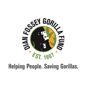 Dian fossey gorilla fund international jobs